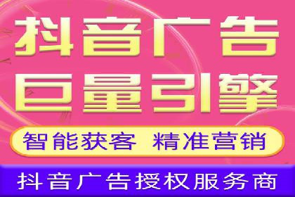 SEM服务公司成功案例解读